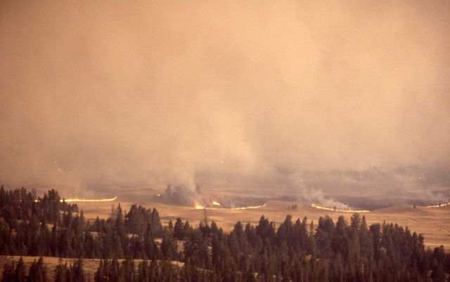 Sage (ground) fire on Blacktail Plateau Picture