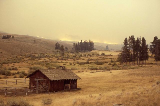 Upper Blacktail barn with sage (ground) fire in background Picture