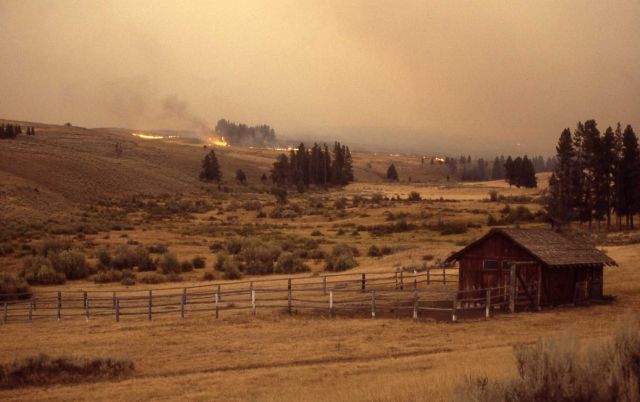Upper Blacktail barn with sage (ground) fire in background Picture