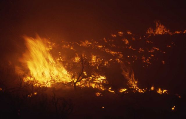 Close up of nighttime sage (ground) fire near Antelope Creek Picture