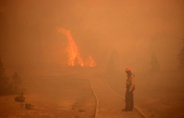 Tree torching near Norris Geyser Basin - Ground fire Picture