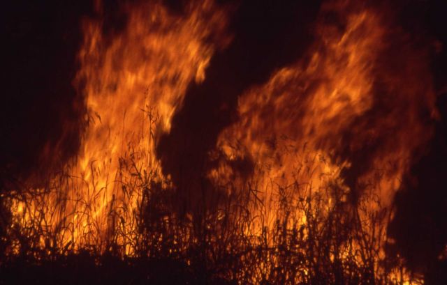 Nighttime close up of grass (ground) fire near northeast entrance - Ground fire Picture