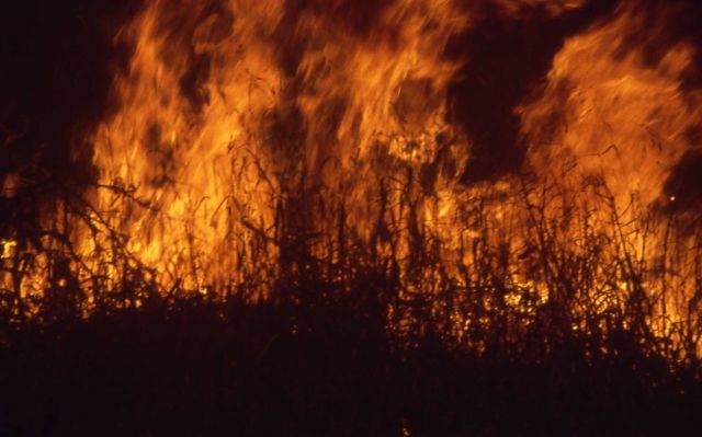 Nighttime close up of grass (ground) fire near northeast entrance - Ground fire Picture
