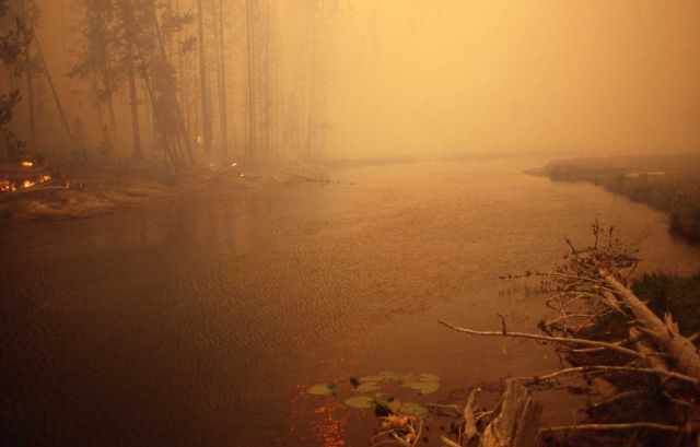 Ground fire along edge of Madison River - with relection Picture