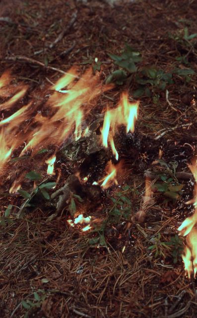 Ground fire Picture