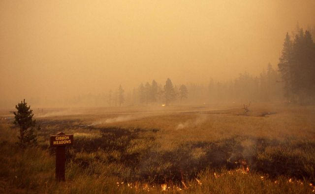 Grass (ground) fire at Gibbon Meadows Picture