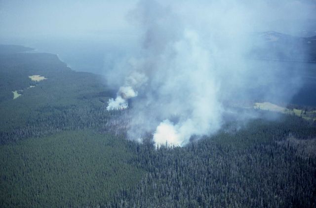Divide fire - aerial view with two areas of ground fire, also showing a previous burn Picture