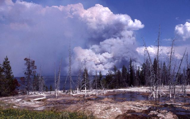 Very tall, dark smoke plume from Shoshone fire with Geyser Basin in foreground Picture