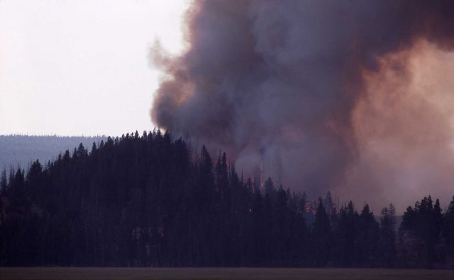 Black smoke in Pocket Basin Picture