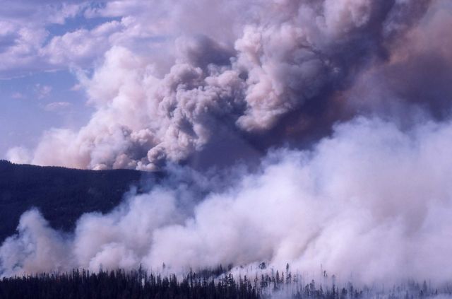 Dark gray smoke column in distance with smoldering fire in Mirro Plateau in foreground Picture