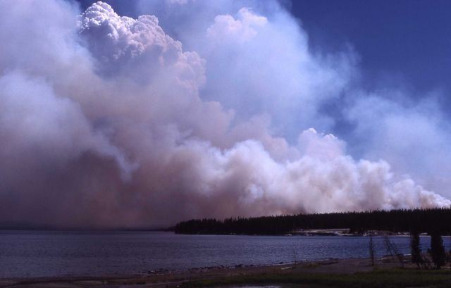 Dense smoke cloud behind Grant Village takem from Little Thumb Creek Picture