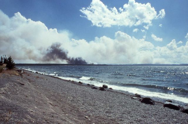 Tall plume of gray smoke with dark center behind Yellowstone Lake Picture