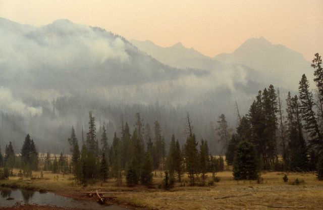 Smoldering fires & smoke on slope of Amphitheater Mountain, Soda Butte Creek Picture