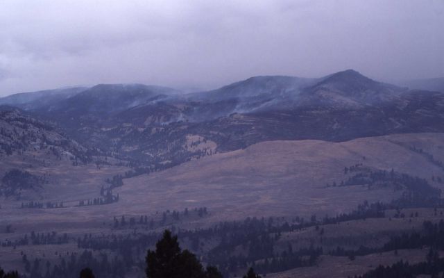 Smoldering fire & smoke on Buffalo Plateau Picture