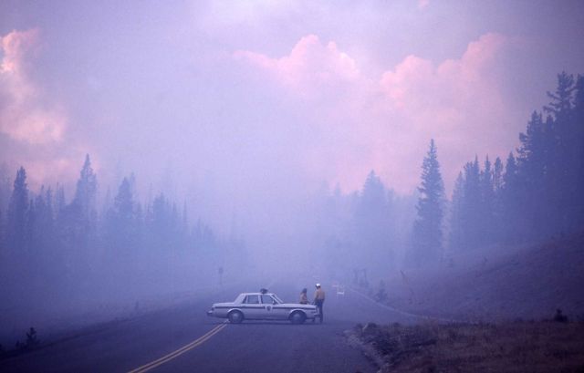 Smokey conditions at West Thumb Junction with patrol car road block Picture