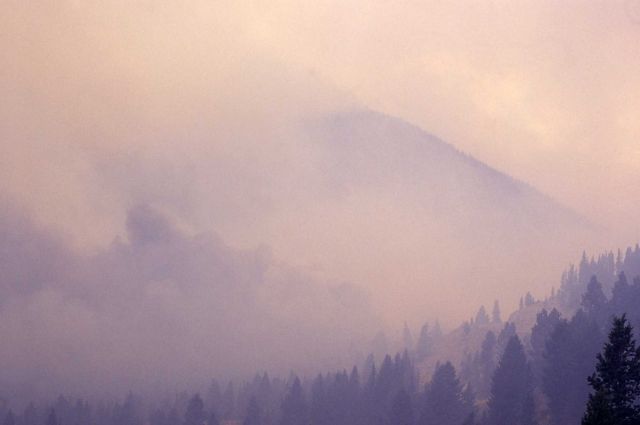 Dense smoke on Bunsen Peak Picture
