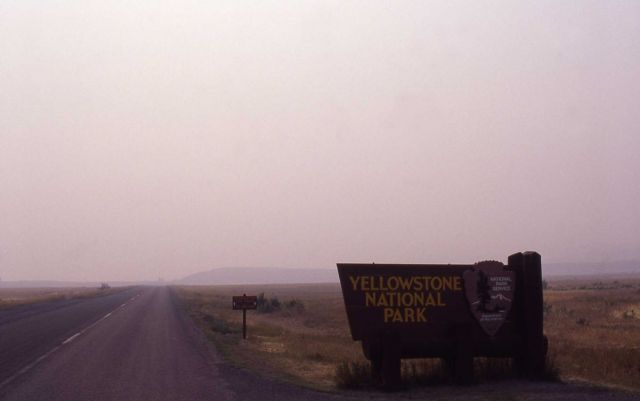 Dense smoke conditions at Roosevelt Arch entrance sign Picture