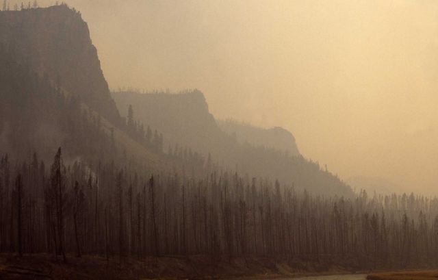 Smoke inversion on Madison River Picture