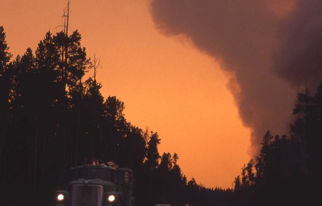 Line of fire trucks ahead of smoke plume at Old Faithful Picture