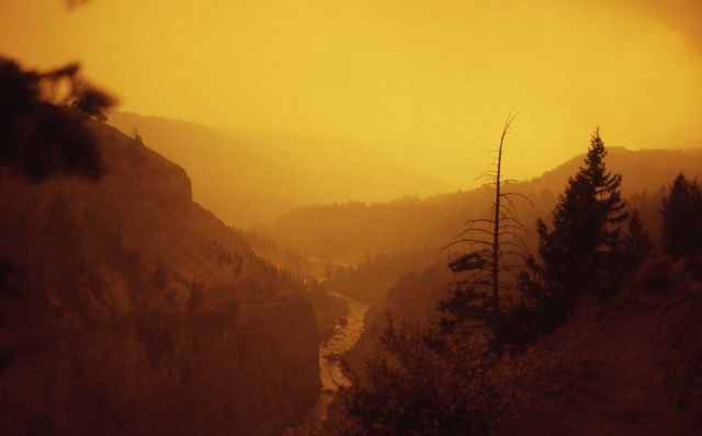Yellow smokey haze in Yellowstone Canyon near Tower Picture