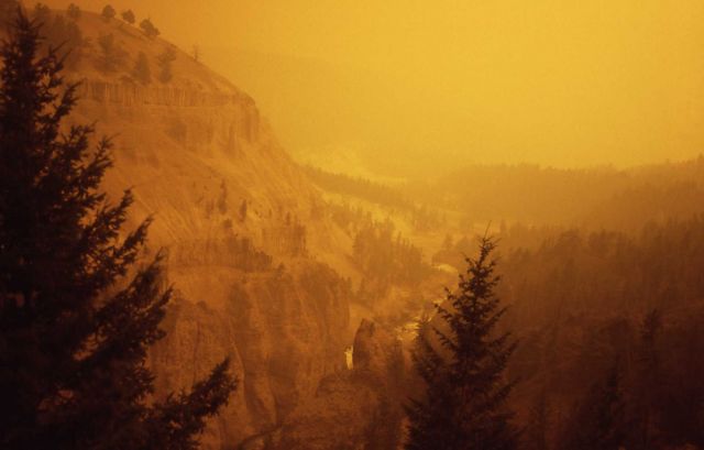 Yellow smokey haze in Yellowstone Canyon near Tower Picture