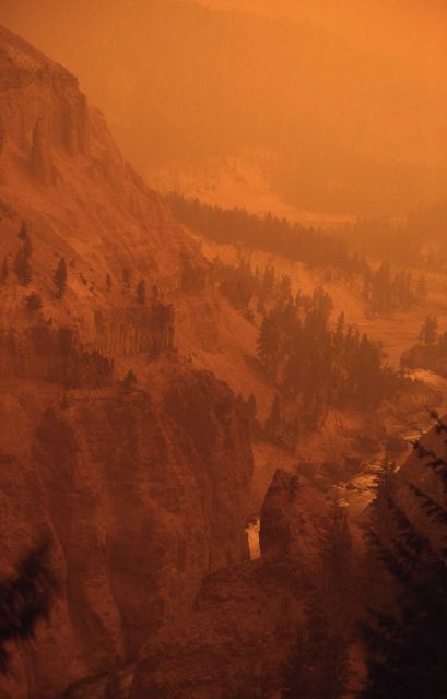 Yellow smokey haze in Yellowstone Canyon near Tower Picture