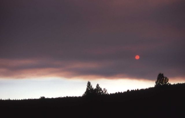 Thick smoke cloud blocking out sun Picture