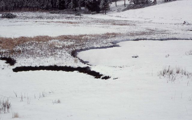 Smoldering fire at Floating Island Lake following five inch snowfall - Smoke Picture