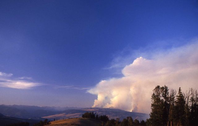Hellroaring Mountain & wide band of smoke rising in a blue sky - seen from Mt Washburn Picture