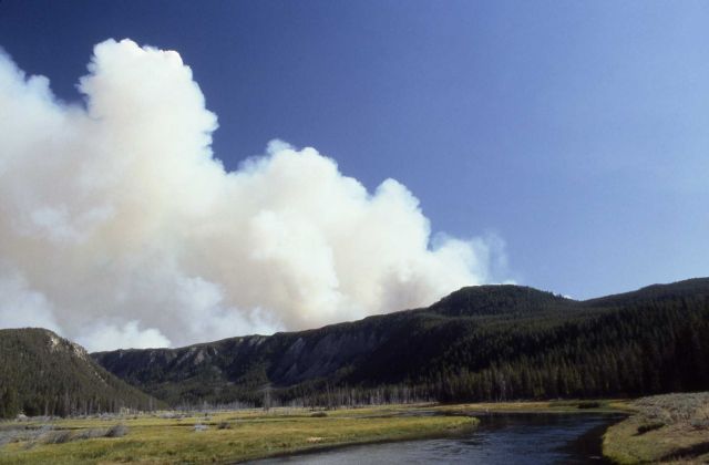 Dense smoke above Madison Plateau - seen from Maidson River at 7 mile bridge Picture