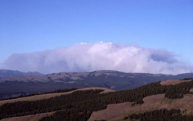 Distant wall of smoke east of Specimen Ridge, taken from Mt Washburn Picture