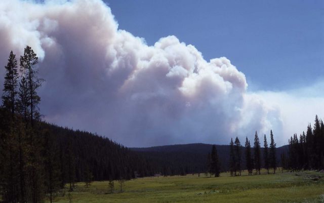 Thick smoke plume from north at Madison Junction, taken from Obsidian Cliff Picture
