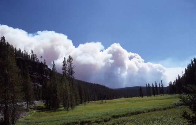 Thick smoke plume from Madison Junction, taken from Obsidian Cliff Picture