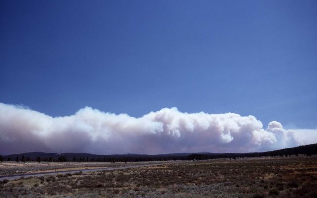 Large wall of smoke from North Fork fire, taken from Swan Lake Flats Picture