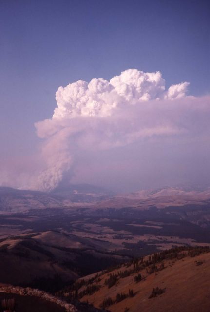 Tall plume of smoke from Hellroaring Creek, taken from Mt Washburn lookout - Hellroaring fire Picture