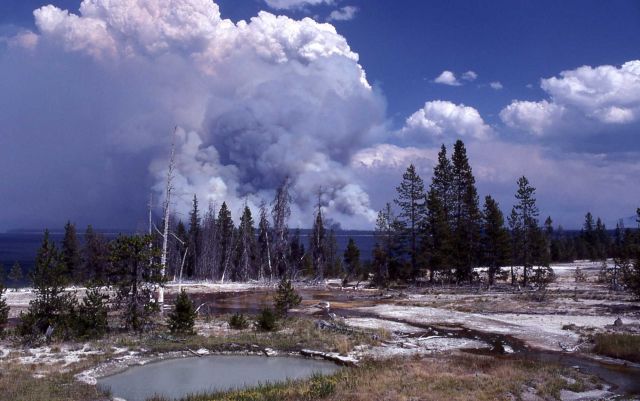 Very tall, dark smoke plume from Shoshone fire - West Thumb Geyser Basin in foregound Picture