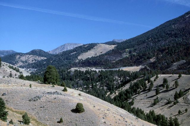 Jardine, Montana Picture