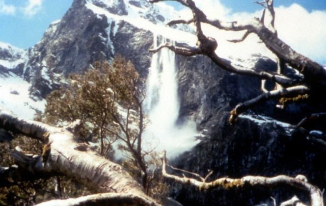 Avalanche (snow) seen from Milferd Track, Fjordlands National Park, New Zeeland - South Island - Geology Picture