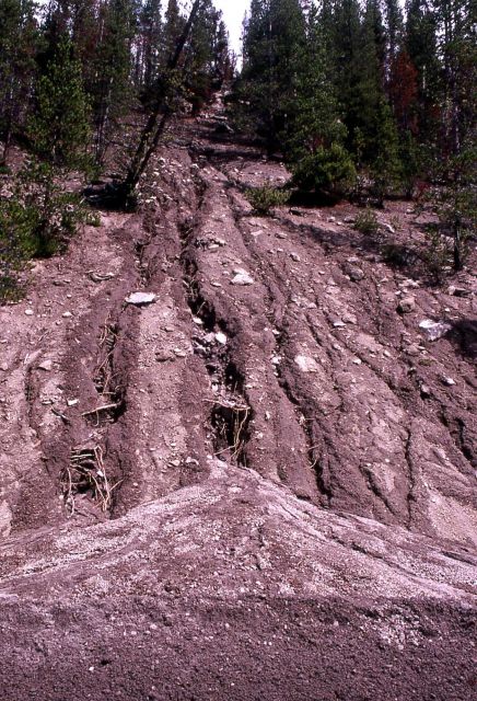 Mudslide caused by heavy rain in Gibbon Canyon - Erosion/Geology Picture