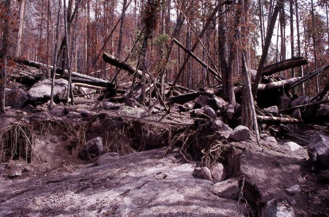 Mudslide caused by heavy rain in Gibbon Canyon - Erosion/Geology Picture