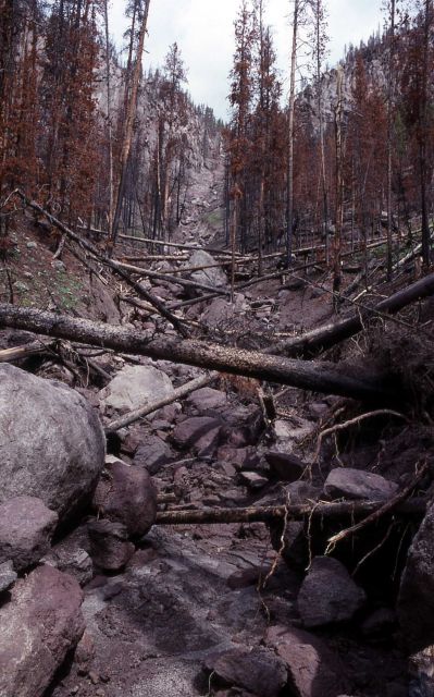 Mudslide caused by heavy rain in Gibbon Canyon - Erosion/Geology Picture