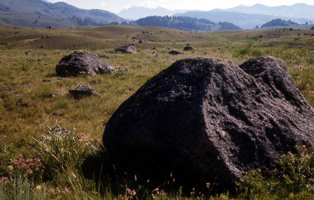 Glacial erratics in the rolling country of Lamar Valley - Geology - Glacial Picture