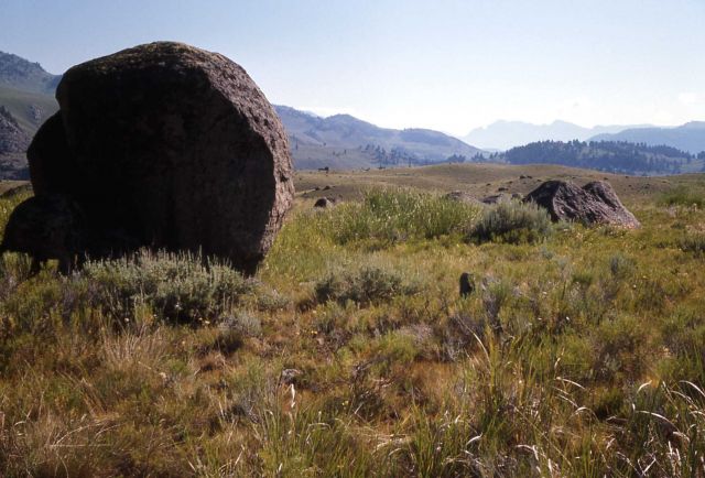 Glacial erratics in Lamar Valley - Geology - Glacial Picture
