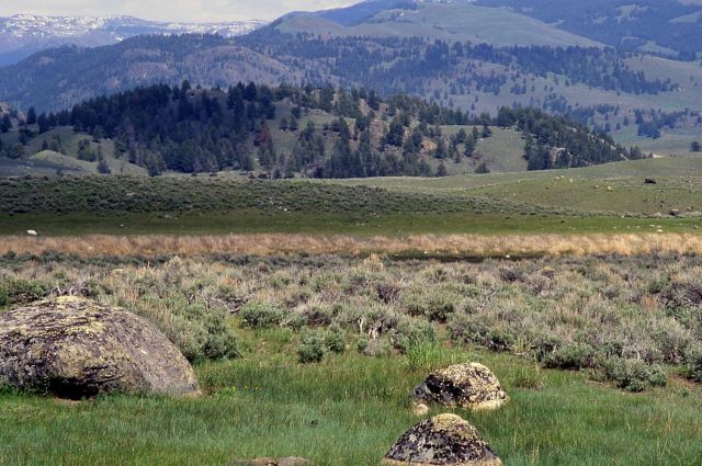Ground moraines & glacial erratics near Junction Butte - Geology - Glacial Picture