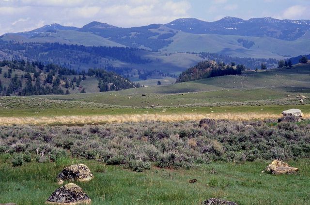 Ground moraines & glacial erratics near Junction Butte - Geology - Glacial Picture