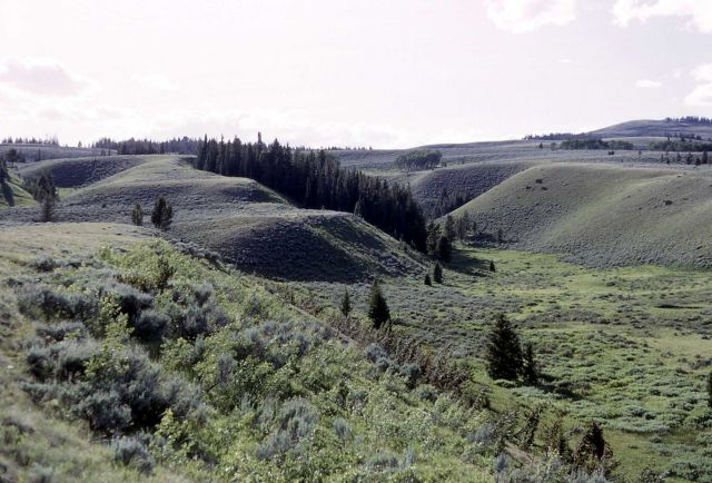 Glacial channel on Swan Lake Flat - Geology - Glacial Picture