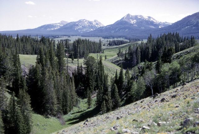 Canyon cut by glacial stream across ridge between Gardner's Hole & Swan Lake - Geology - Glacial Picture