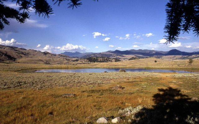 Glacial kettle pond in Lamar Valley - Geology - Glacial Picture