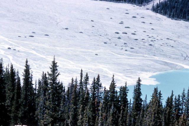 Closer view of outwash from Athabaska Glacier - Geology - Glacial Picture