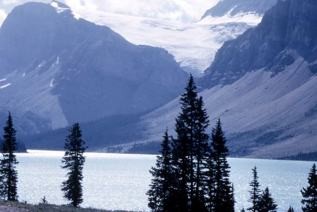 Bow Lake with Crowfoot Glacier in the background - Geology - Glacial Picture